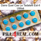 Dans Quel Cas Le Tadalafil Est-Il Utilisé new09